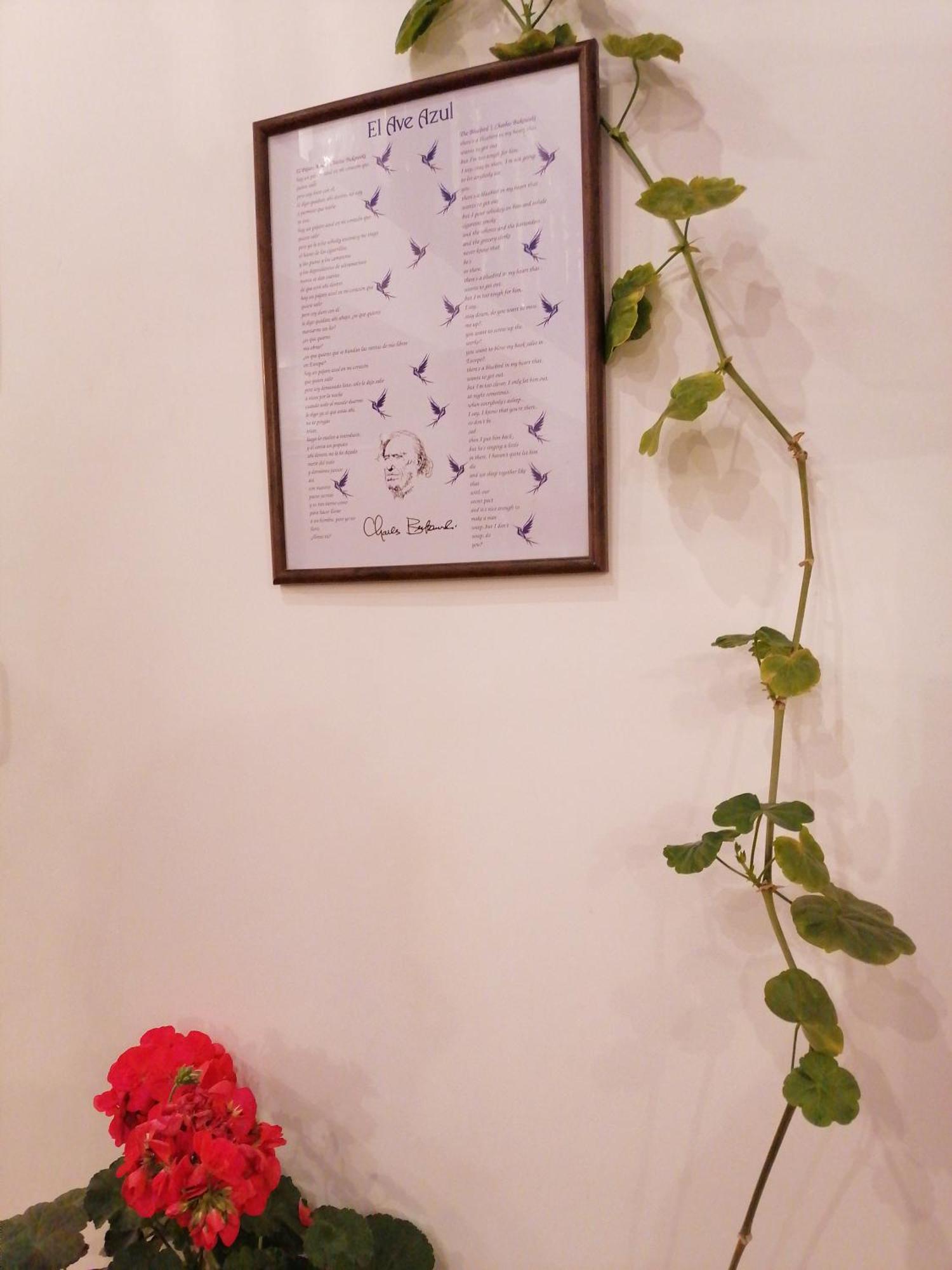 El Ave Azul Boutique Hotel กุสโก ภายนอก รูปภาพ